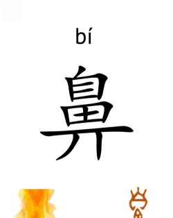 鼻字怎么写,笔画顺序,结构解析 鼻字怎么写,笔画顺序,结构解析