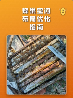 蜂巢如何使用,新手入门指南,常见问题解答 蜂巢如何使用,新手入门指南,常见问题解答