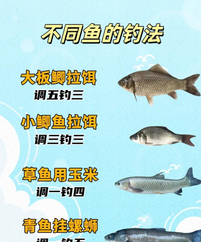 如何钓生鱼,掌握关键技巧,提升上钩率 如何钓生鱼,掌握关键技巧,提升上钩率