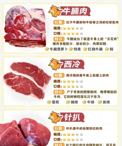 牛怎么杀的,屠宰流程详解,常见问题解答 牛怎么杀的,屠宰流程详解,常见问题解答