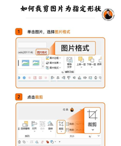 ppt图片怎么设计图片形状 ppt图片怎么设计图片形状