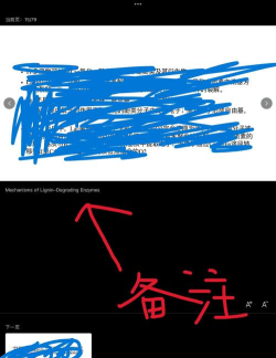 怎样在ppt上隐藏备注 怎样在ppt上隐藏备注