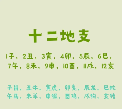 十二地支怎么读 十二地支怎么读