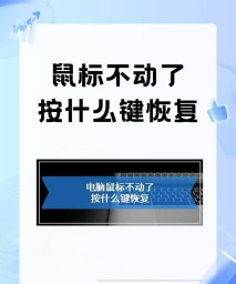 鼠标不动了怎么办 鼠标不动了怎么办