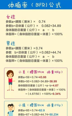 体脂率怎么算 体脂率怎么算
