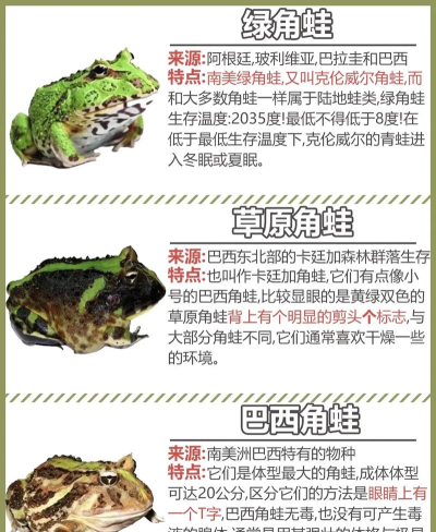 青蛙怎么叫 青蛙怎么叫