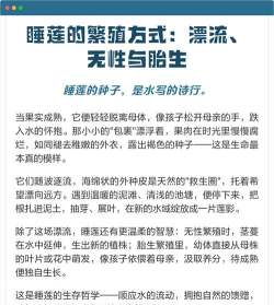 睡莲如何繁殖 睡莲如何繁殖