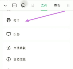 wps怎么设置 wps怎么设置