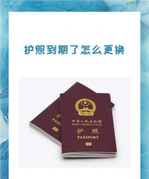 手机上怎么办护照 手机上怎么办护照