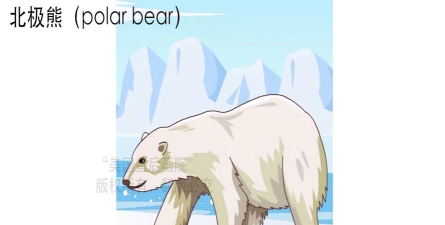 北极熊怎么叫 北极熊怎么叫