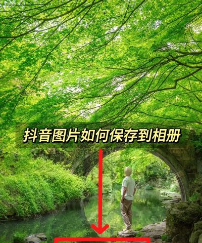 抖音拍的照片怎么保存 抖音拍的照片怎么保存
