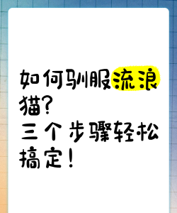 猫怎么驯服 猫怎么驯服