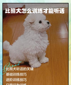 狗熊怎么打 狗熊怎么打