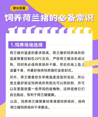 猪怎么养殖 猪怎么养殖