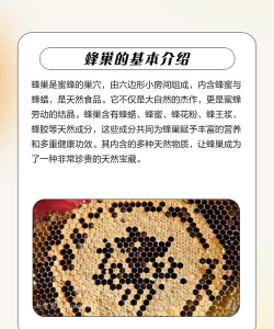 蜂巢怎么用 蜂巢怎么用