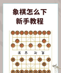 象棋怎么玩视频 象棋怎么玩视频