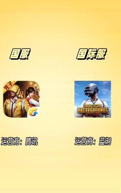 国际服怎么下 国际服怎么下