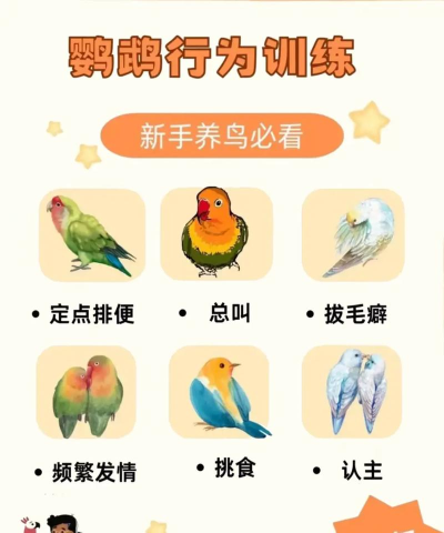 怎么训鹦鹉 怎么训鹦鹉