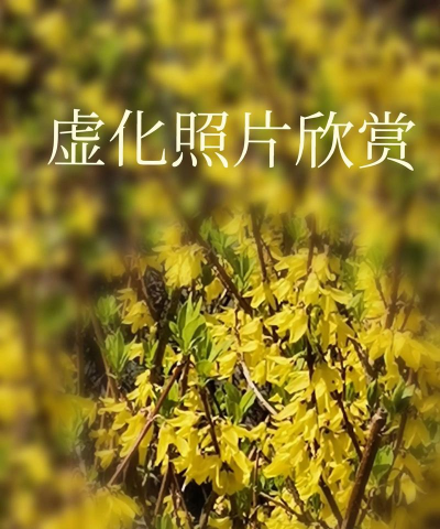 背景虚化怎么拍 背景虚化怎么拍