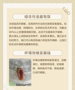 蟑螂怎么打 蟑螂怎么打