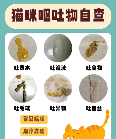 怎么快速吐 怎么快速吐