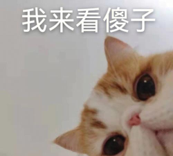 怎么回事表情包 怎么回事表情包