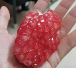 怎么切石榴 怎么切石榴