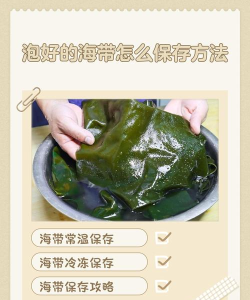 海带怎么弄 海带怎么弄