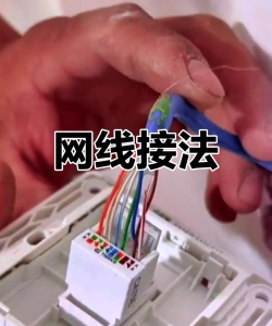wifi怎么插 wifi怎么插