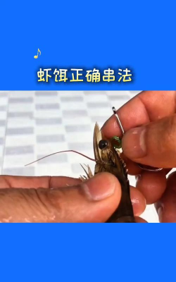 虾饵怎么做 虾饵怎么做
