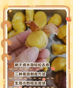 坚果怎么开 坚果怎么开