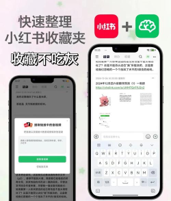 小红书怎么收藏 小红书怎么收藏