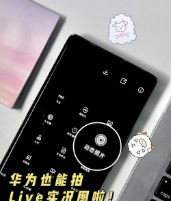live 怎么拍 live 怎么拍