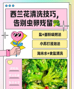 西兰花怎么弄 西兰花怎么弄