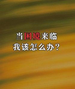 我怎么办,面对人生困境,找到解决方法 我怎么办,面对人生困境,找到解决方法