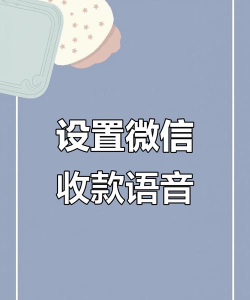 微信收款语音播报怎么设置,开启收款提醒,避免错过每一笔收入 微信收款语音播报怎么设置,开启收款提醒,避免错过每一笔收入