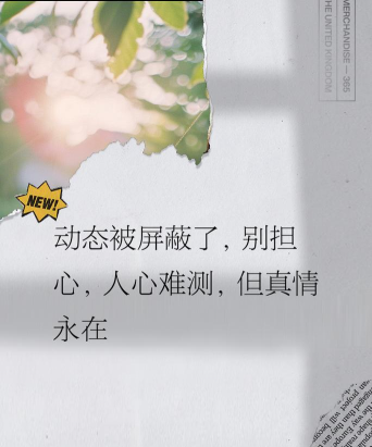 朋友圈怎么只发文字,轻松掌握隐藏技巧,告别图文困扰 朋友圈怎么只发文字,轻松掌握隐藏技巧,告别图文困扰