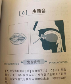 哨怎么读,正确发音方法,常见误读纠正 哨怎么读,正确发音方法,常见误读纠正