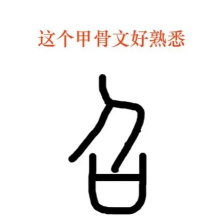 召怎么读,正确发音方法,常见读音解析 召怎么读,正确发音方法,常见读音解析