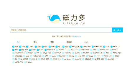 磁力链接怎么用,轻松下载资源,掌握实用技巧 磁力链接怎么用,轻松下载资源,掌握实用技巧