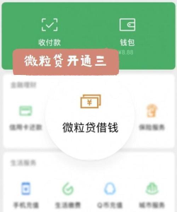 微信微粒贷怎么开通,掌握申请技巧,快速获得额度 微信微粒贷怎么开通,掌握申请技巧,快速获得额度