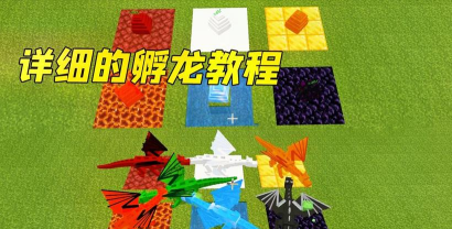 我的世界龙蛋怎么孵化,孵化步骤详解,孵化后如何驯服 我的世界龙蛋怎么孵化,孵化步骤详解,孵化后如何驯服