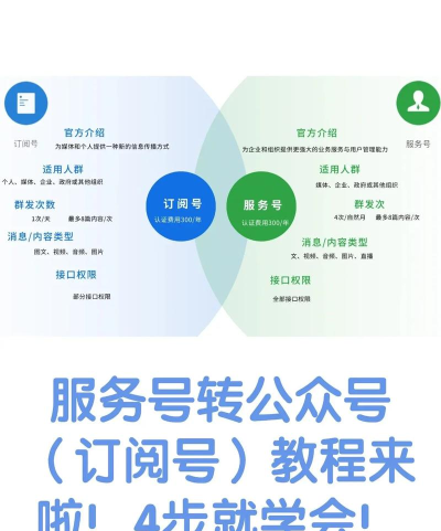 微信公众号怎么申请,详细步骤解析,新手必看指南 微信公众号怎么申请,详细步骤解析,新手必看指南