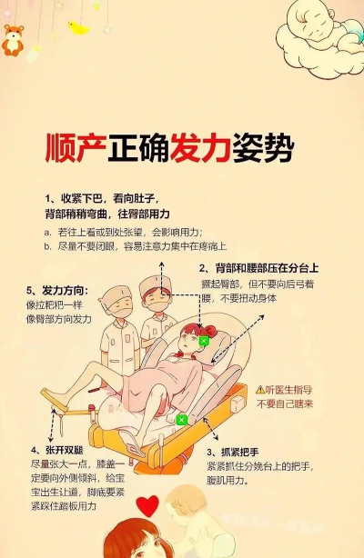 如何生孩子,了解生育过程,掌握备孕与分娩知识 如何生孩子,了解生育过程,掌握备孕与分娩知识