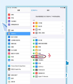 ipad怎么录屏,轻松掌握录屏技巧,快速分享精彩瞬间 ipad怎么录屏,轻松掌握录屏技巧,快速分享精彩瞬间