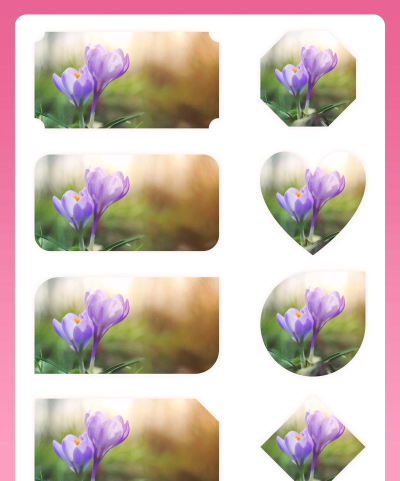 如何将图片插入ppt 如何将图片插入ppt