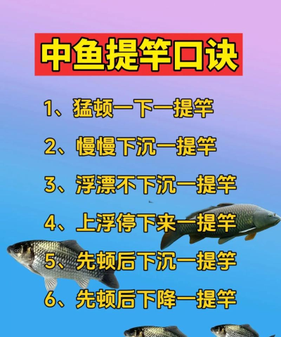如何判断鱼上钩,掌握提竿时机,避免跑鱼空竿 如何判断鱼上钩,掌握提竿时机,避免跑鱼空竿