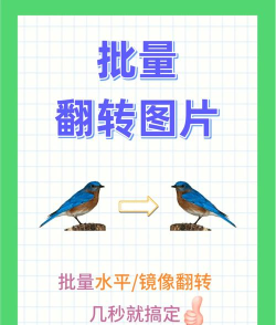 图片怎么镜像翻转,轻松掌握技巧,快速实现效果 图片怎么镜像翻转,轻松掌握技巧,快速实现效果