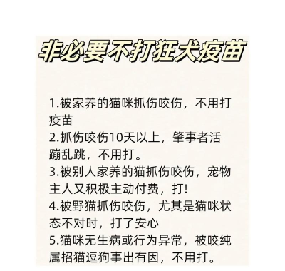 如何抓猫,安全有效方法,避免猫咪受伤 如何抓猫,安全有效方法,避免猫咪受伤