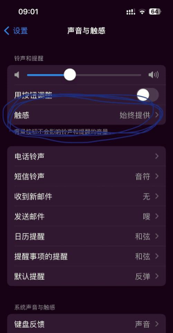 苹果怎么关震动,轻松掌握静音技巧,告别手机噪音困扰 苹果怎么关震动,轻松掌握静音技巧,告别手机噪音困扰